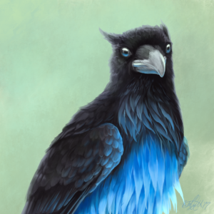 Soorsi, the raven with blue belly--and mascot of this site